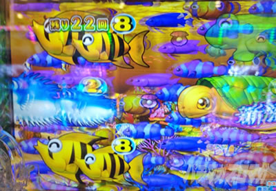 PA�V�C����