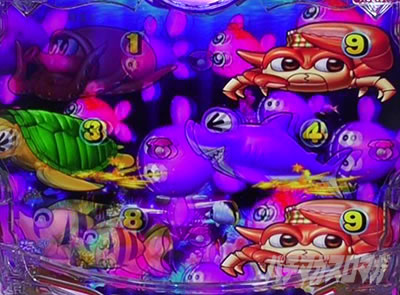 P��C����5 �u���b�N �b�N�W���b�L�[���N�W���u���[�Q