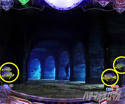 P��C����5�X�y�V���� �p�`���R�b�����O���\�� ���o