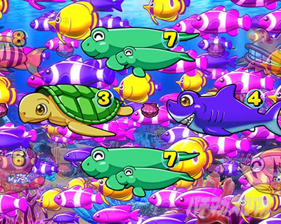 P��C����5�X�y�V���� �p�`���R�b���Q�\�� ���o