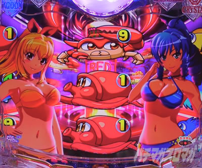 P��C����5�X�y�V���� �p�`���R�bRED�]�[��