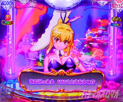 e��C����5�X�y�V���� �p�`���R�b����_�r�b�O�N���u