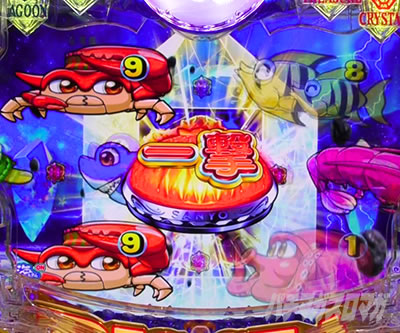 e��C����5�X�y�V���� �p�`���R�b��������SP���[�`