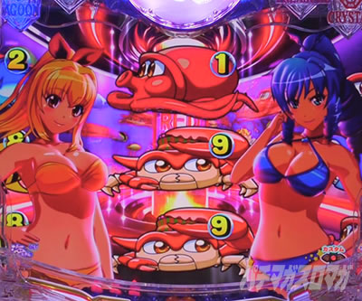 e��C����5�X�y�V���� �p�`���R�bRED�]�[��