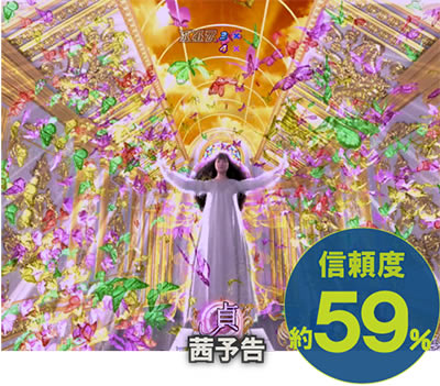 P��q3D2�`���ꂽ12���ԁ`