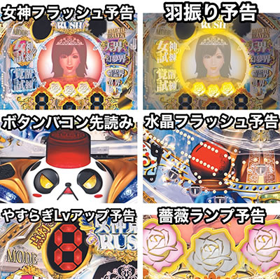 P���_�h���[��