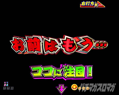 P DD�k�l�̌�3 �p�`���R�b�s�u�[�J�E���g�_�E�����o ��