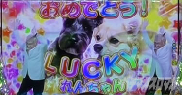 P yes! ���{�N���j�b�N�V �͂��܂��4500�@