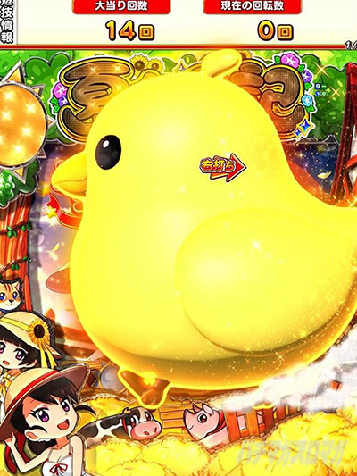 eA�ĐF���LGO �p�`���R�b�哖��G���f�B���O