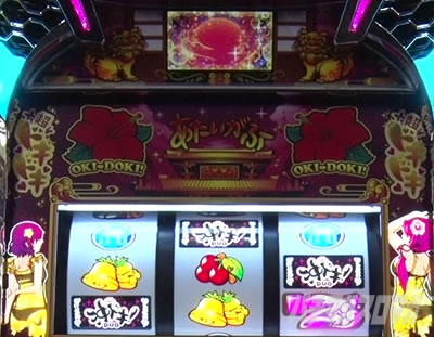 ���h�L�IDUO