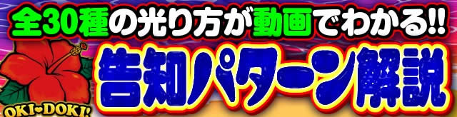 ���m�p�^�[���������