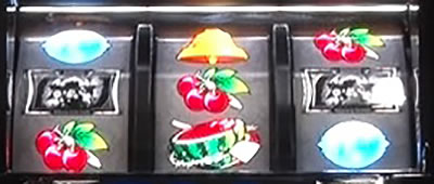 �p�`�X�� �o�C�I�n�U�[�h7 ���W�f���g �C�[�r��