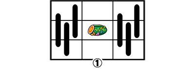 �T��I�y�� �~���L�B�z�[���Y 1/2�̊��