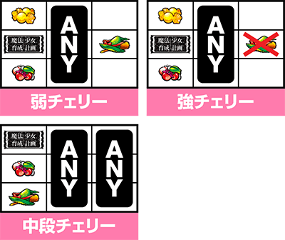 �p�`�X�� ���@�����琬�v��