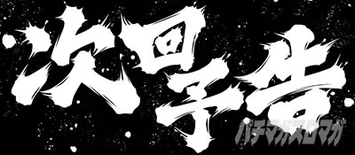 �p�`�X���^���̋�