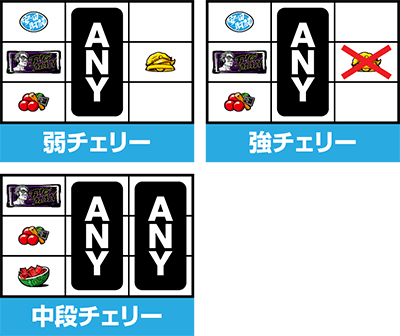 �p�`�X���^���̋�