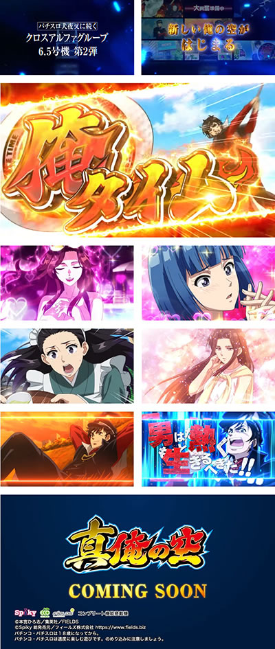 �p�`�X���^���̋�