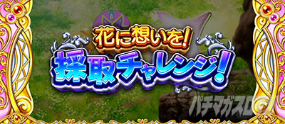 CREA New�N���A�̔��`