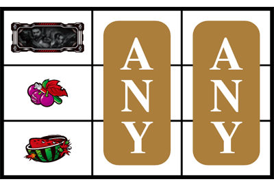 �p�`�X���o�C�I�n�U�[�h5