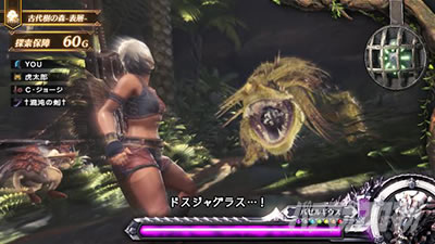 �p�`�X�� �����X�^�[�n���^�[:���[���hTM �������