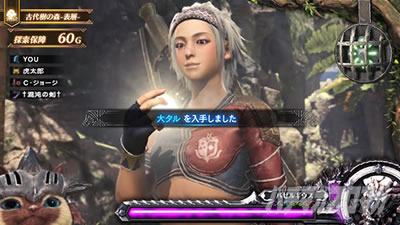 �p�`�X�� �����X�^�[�n���^�[:���[���hTM �������