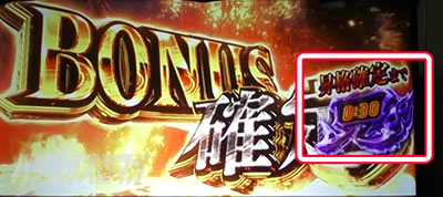 �p�`�X�� �V�S����2