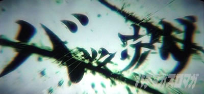 �p�`�X�� �V�S����2