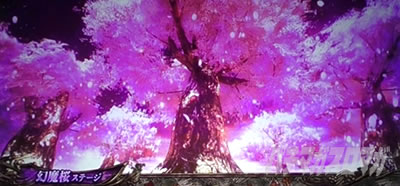 �p�`�X�� �V�S����2