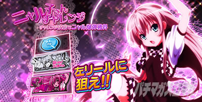 �p�`�X���������I�j�����q����