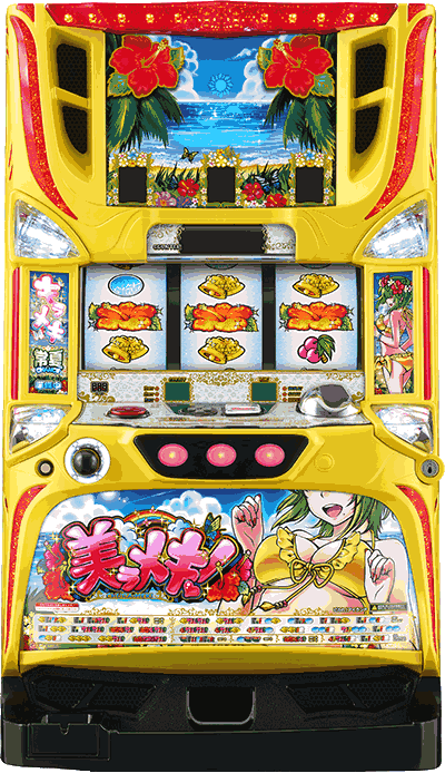 �p�`�X�� �������L!��ʐ^