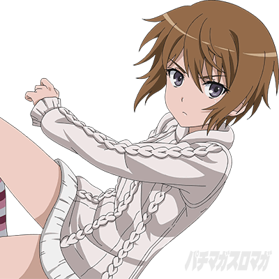 �X�}�X���Ƃ��閂�p�̋֏��ژ^