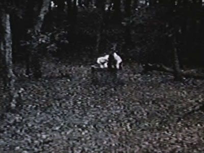 S�����O ���P�m�A��