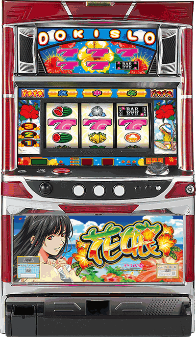 �ǂ�!�����ʐ^