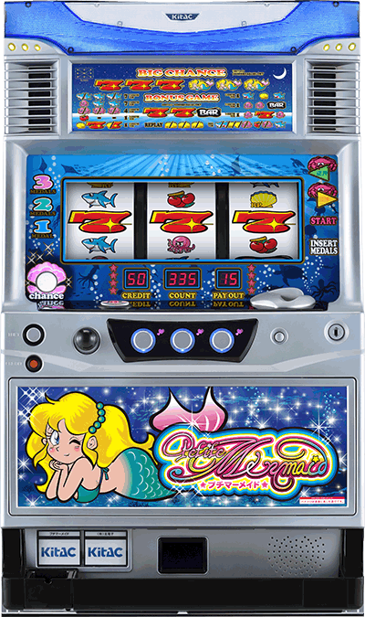 �v�`�}�[���C�h��ʐ^