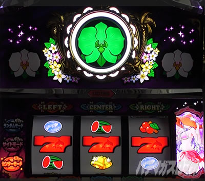 �}�C�t�����[2-30