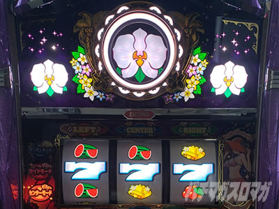 �}�C�t�����[2-30