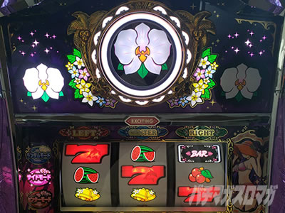 �}�C�t�����[2-30