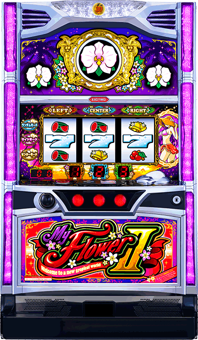 �}�C�t�����[2-30��ʐ^