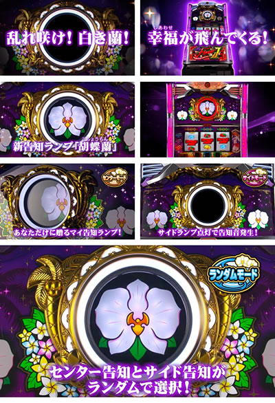 �}�C�t�����[2-30 �Ӓ��� �}�C���m�����v �T�C�h�����v