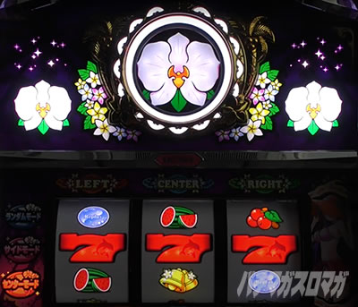 �}�C�t�����[2-30