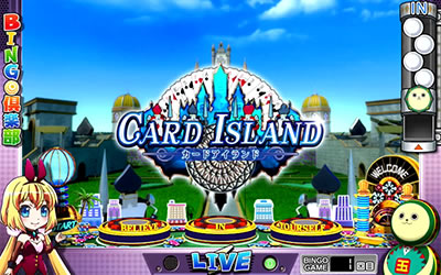 ����BINGO��y��