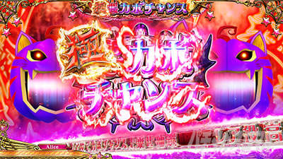 �}�W�J���n���E�B���W