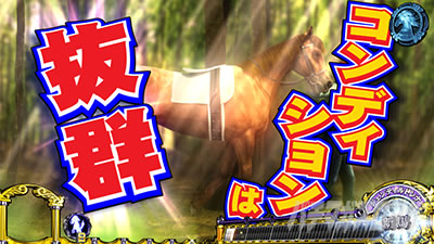 �f�T�D�x��y������