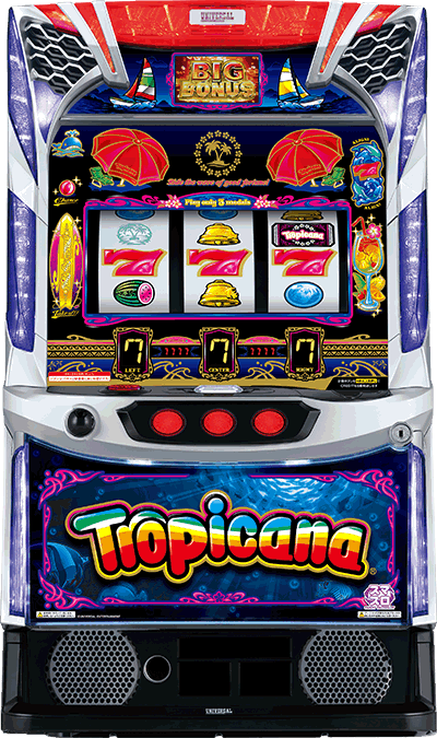 �X�}�X�� �g���s�J�[�i�b��ʐ^ ➑�