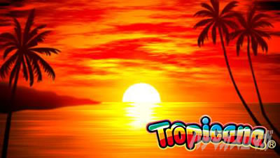 �X�}�X�� �g���s�J�[�i