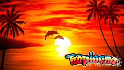 �X�}�X�� �g���s�J�[�i