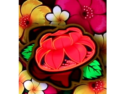 �`�o����-30