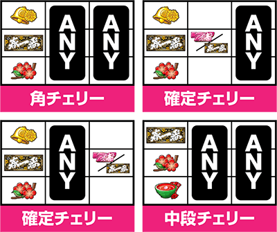 �p�`�X���t���