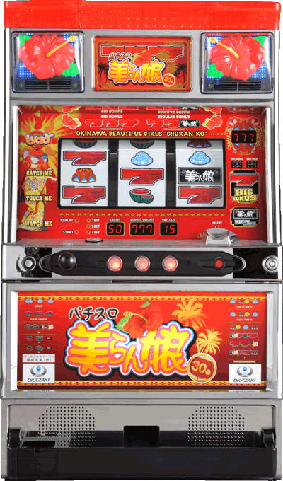 �p�`�X�������-30��ʐ^