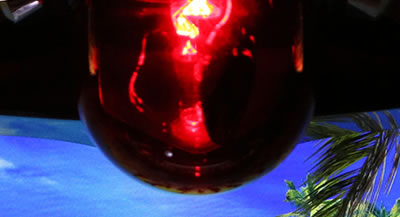 �썑���� TYPE-A